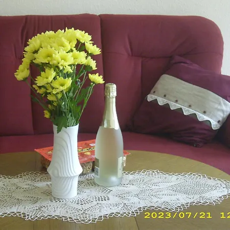 펜션 Haus Deichbrise