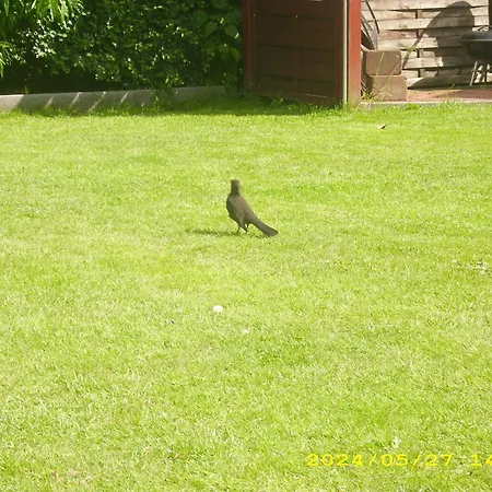 Haus Deichbrise 펜션 니불