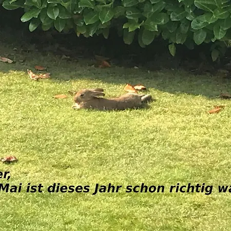 Holiday home Haus Deichbrise
