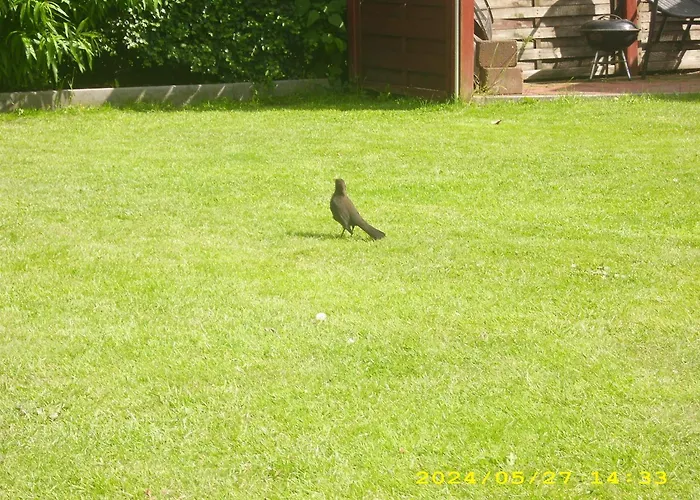 Haus Deichbrise 펜션 니불